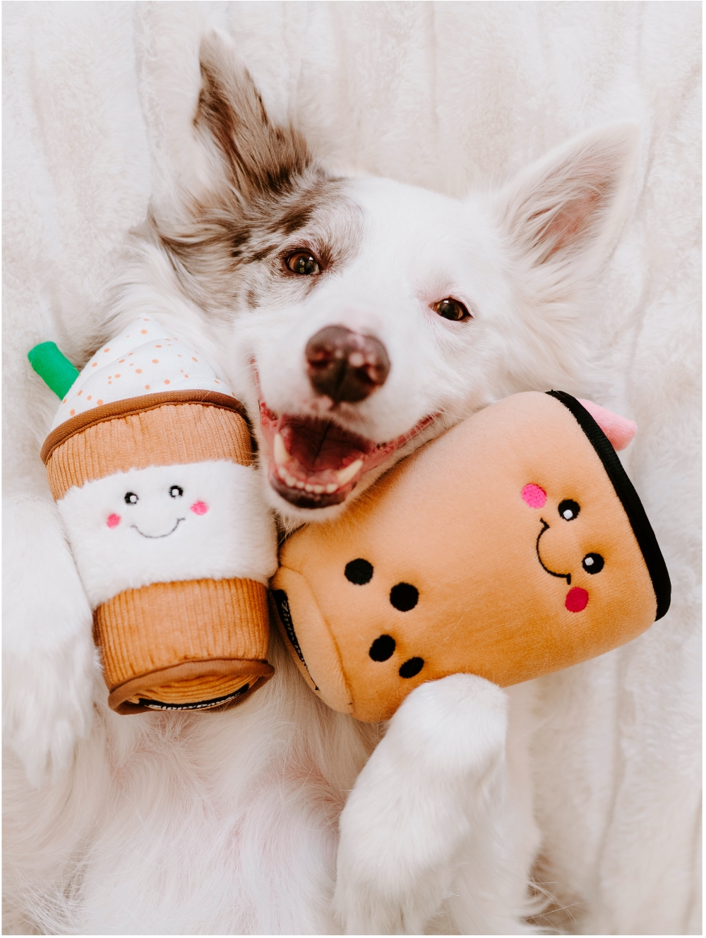 Cute dog with ZippyPaws toy