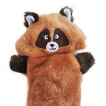 Zingy Raccoon Image Preview