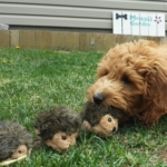 20150530_152258-e1514580488860-scaled