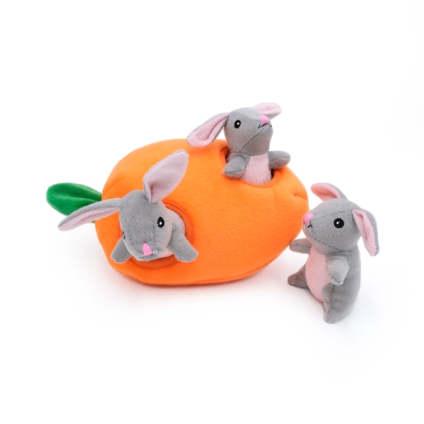 Burrow Squeaky Hide and Seek Plush Dog Toy, Bunny 'n Carrot Perfect Gift Xmas