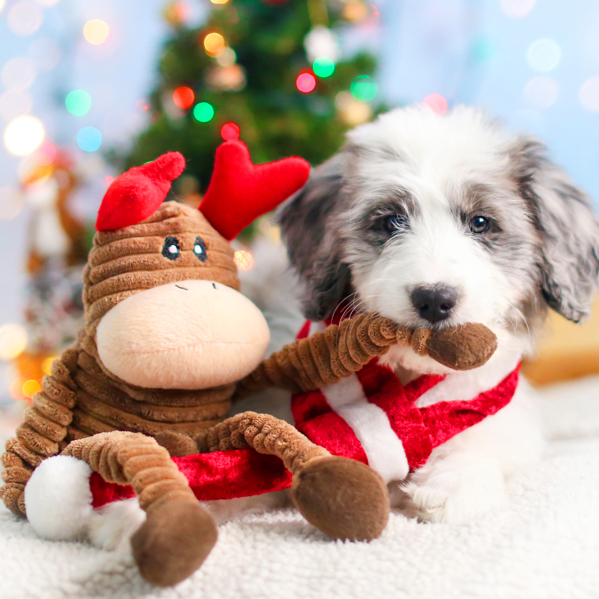 Holiday Crinkle - Reindeer Small