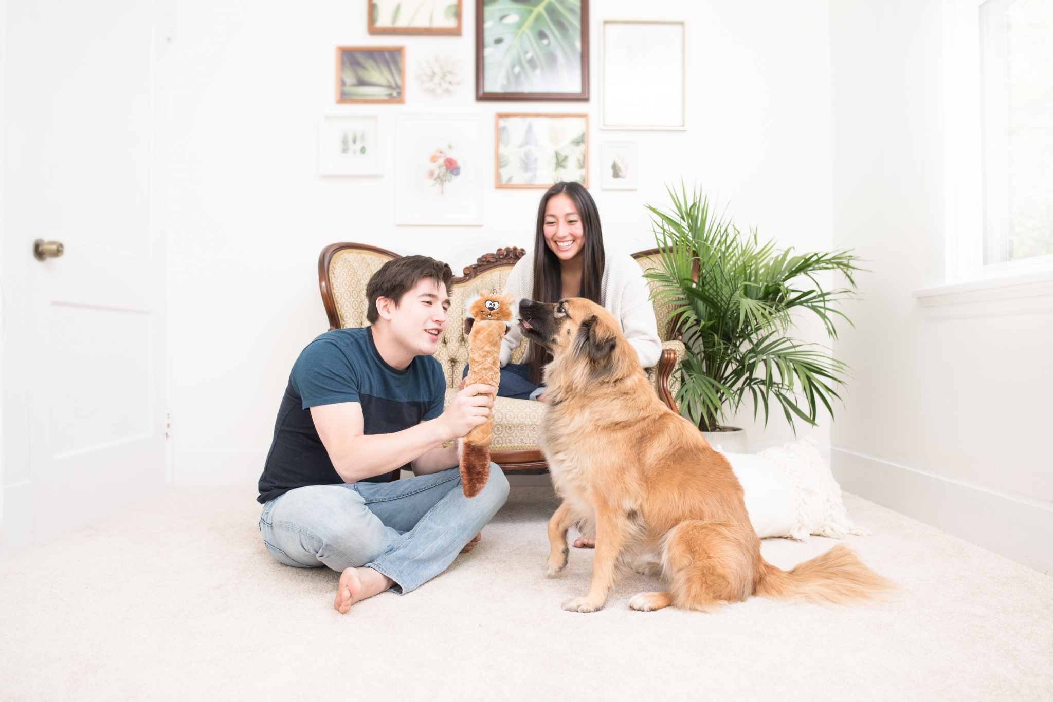 Jigglerz® - Chipmunk