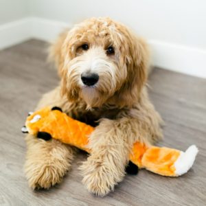 Plush squeaky pretzel dog toy – Spotted Nose Designs