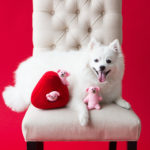 Valentine's Burrow® - Heart 'n Bears Image Preview