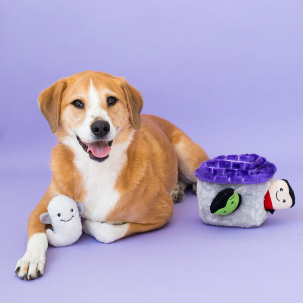 ZippyPaws Halloween Burrow Dog Toy | Haunted Log