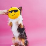 Geronimo_ColorBlock-425 copy