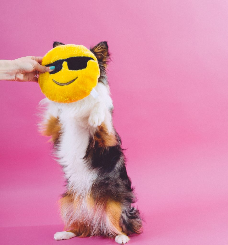 Geronimo_ColorBlock-425 copy