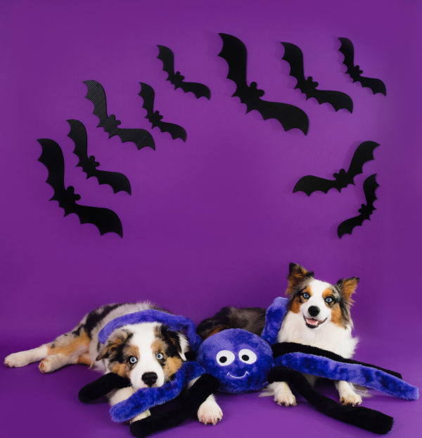 Halloween Grunterz - Purple Spider Image Preview 1
