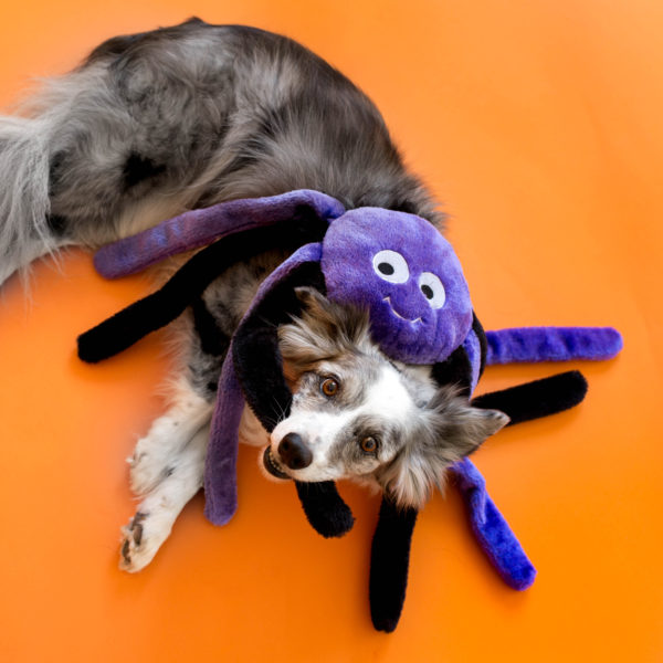 Halloween Grunterz - Purple Spider Image Preview 2