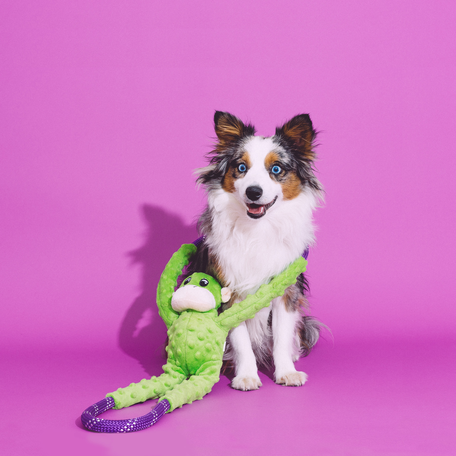 Monkey RopeTugz® - Green