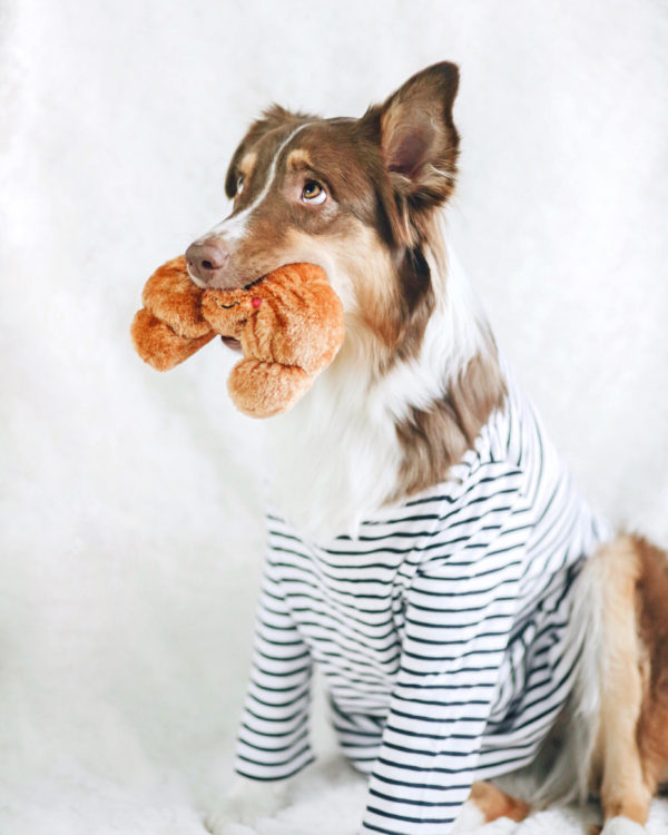 Manufacture & Customize - Croissant, Drumstick, & Cocktail Dog Toy, Customizable Products