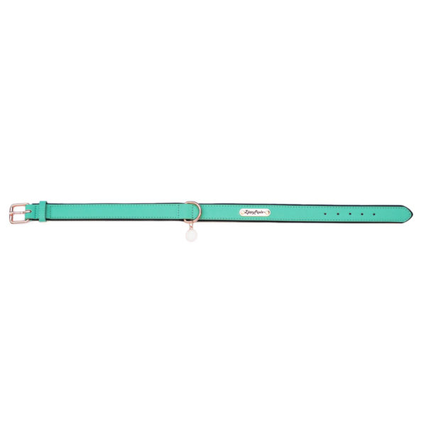 Vivid Collection Collar - Teal Image Preview 4