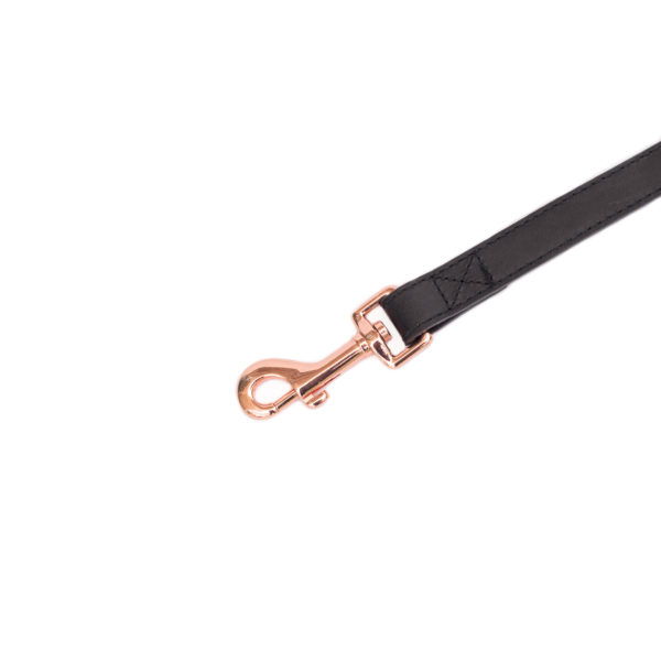 Legacy Collection Leash - Black Image Preview 4