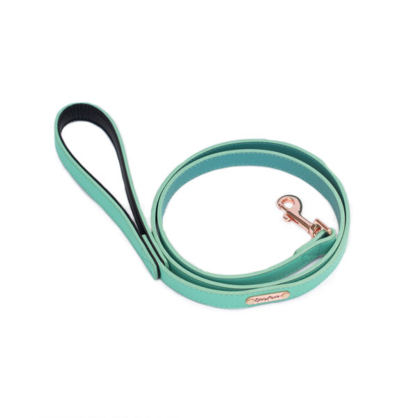Vivid Collection Leash - Teal Image Preview 2