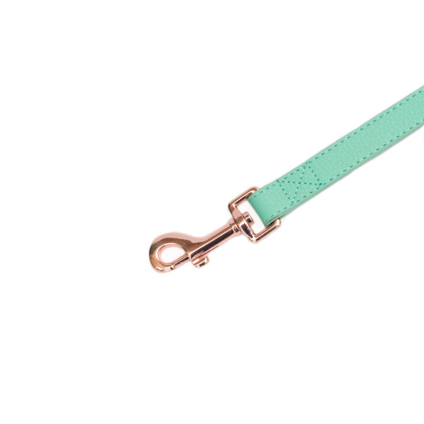 Vivid Collection Leash - Teal Image Preview 4