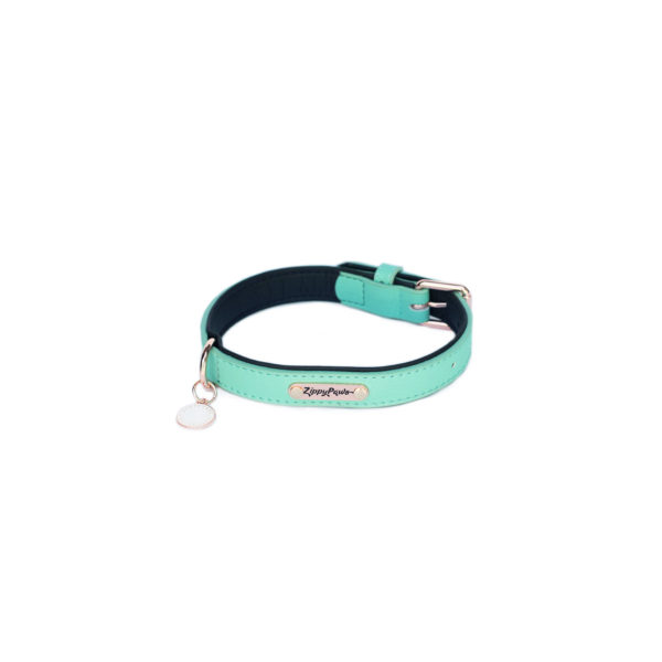 Vivid Collection Collar - Teal Image Preview 8