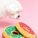 ©2017 Lauren Frisch Pusateri