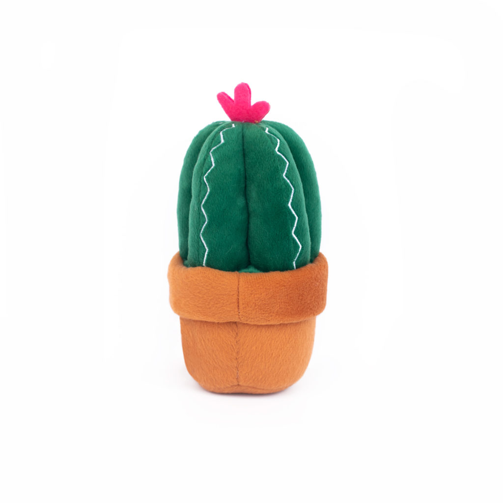Carmen The Cactus Image Preview