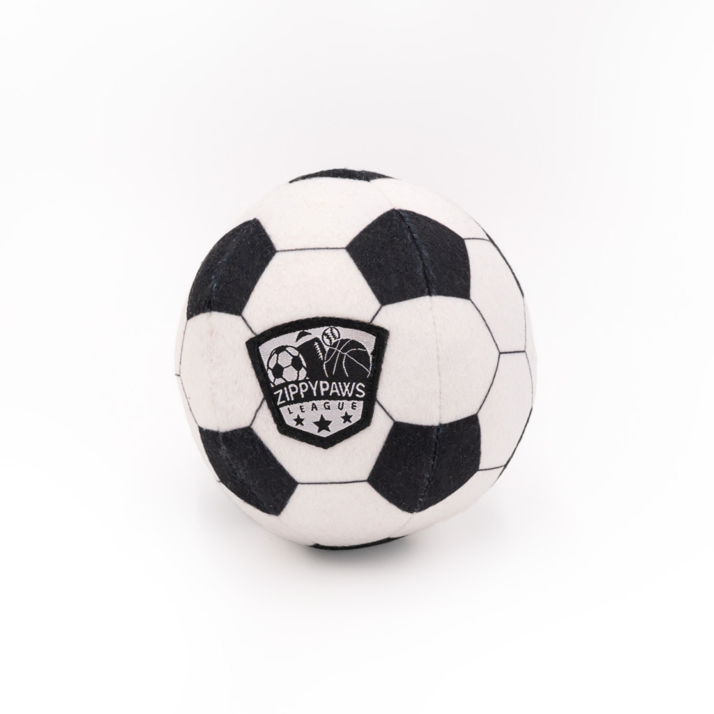 SportsBallz - Soccer Image Preview