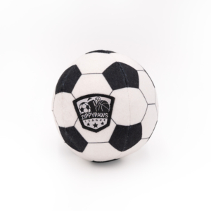 A black and white soccer ball with a "SportsBallz - Soccer" logo on the front, featuring a design with stars and "League" written below.