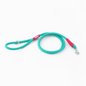A teal-colored dog leash with white speckles, featuring red accents and a metal clasp, is coiled on a white background.