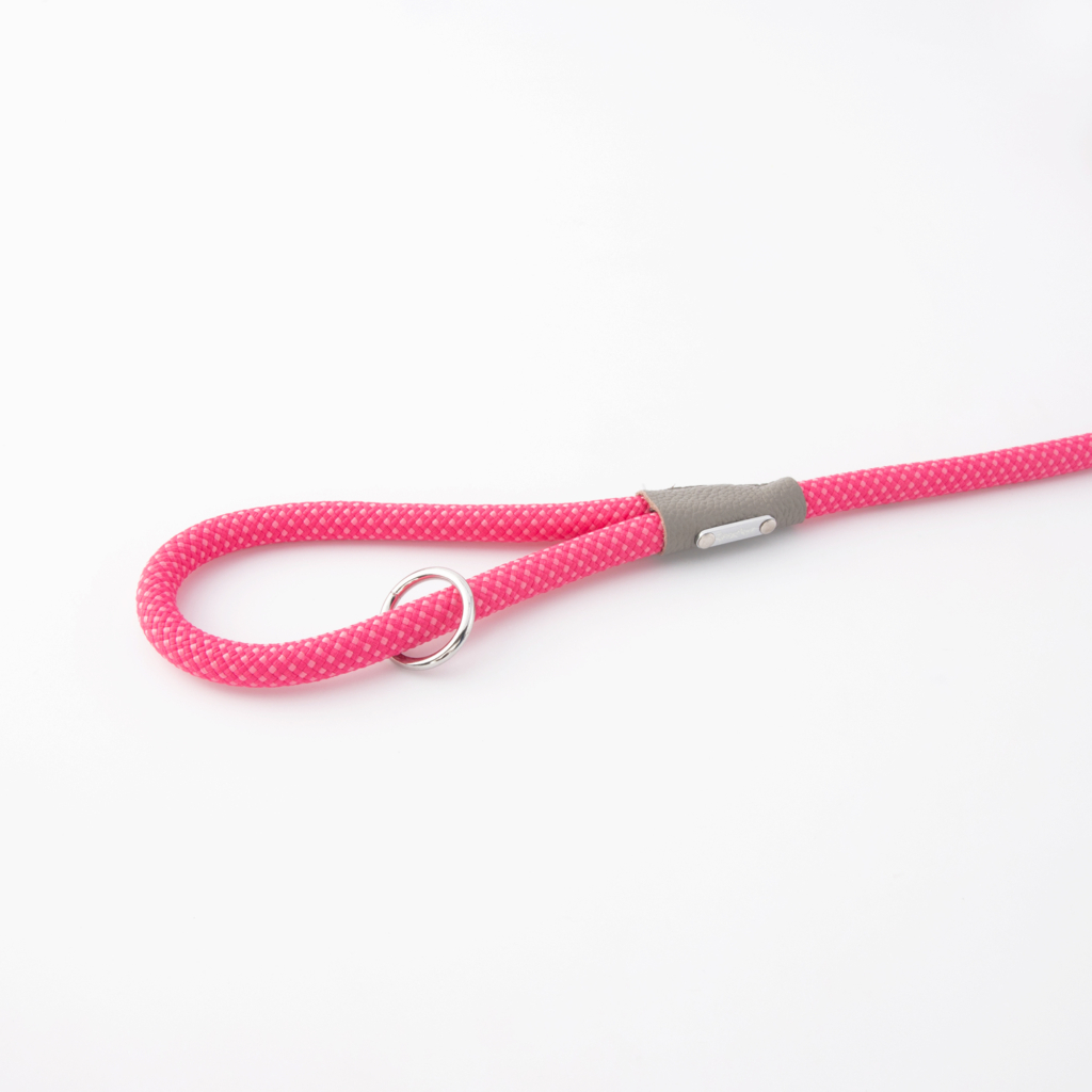 Mod Essential Leash - Pink Image Preview