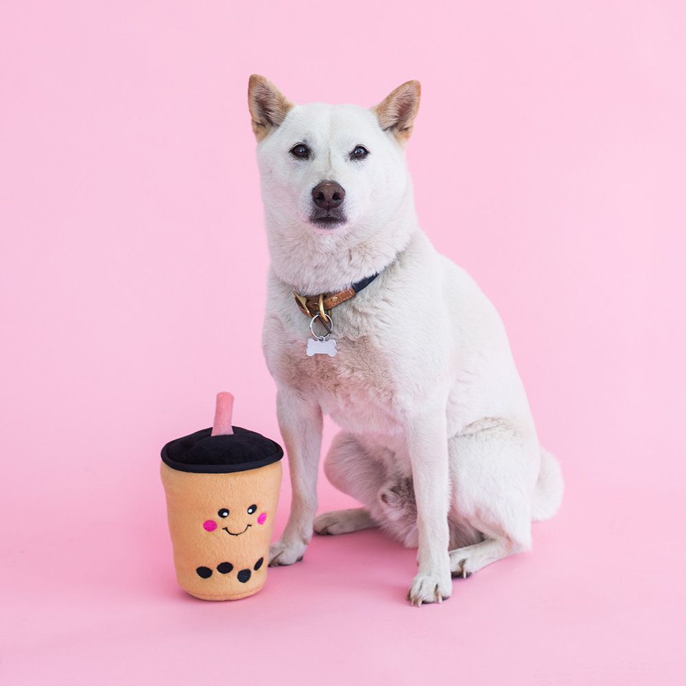 A white dog with a collar sits next to a NomNomz® - Boba Milk Tea, against a pink background.