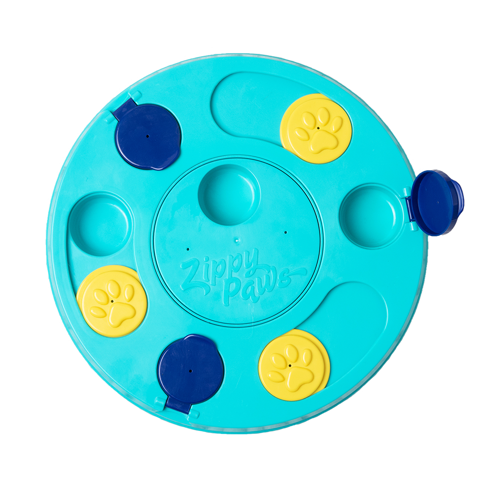 SmartyPaws Puzzler Teal