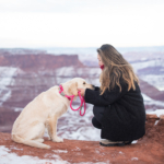A woman kneels on a snowy red rock cliff, holding and interacting with a golden retriever on a pink leash. The background shows a vast, snowy canyon landscape.