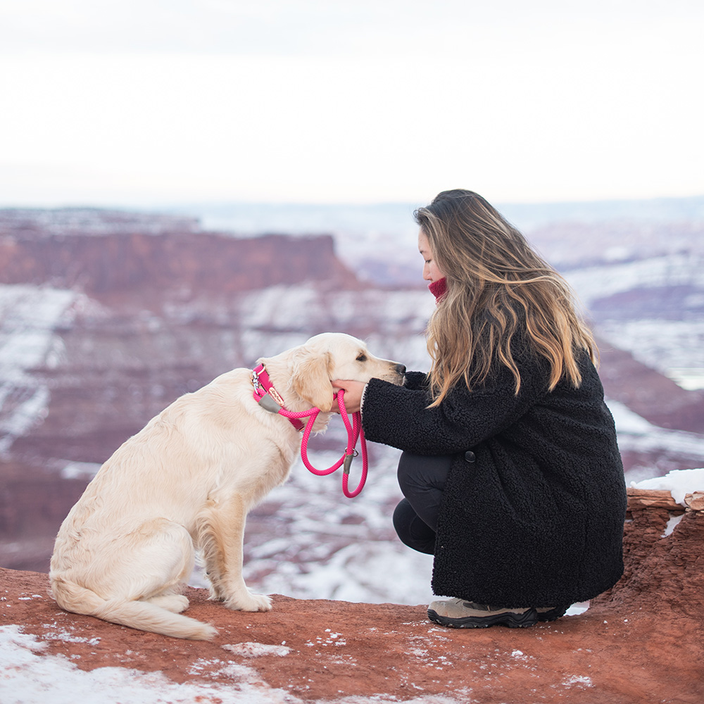 A woman kneels on a snowy red rock cliff, holding and interacting with a golden retriever on a pink leash. The background shows a vast, snowy canyon landscape.