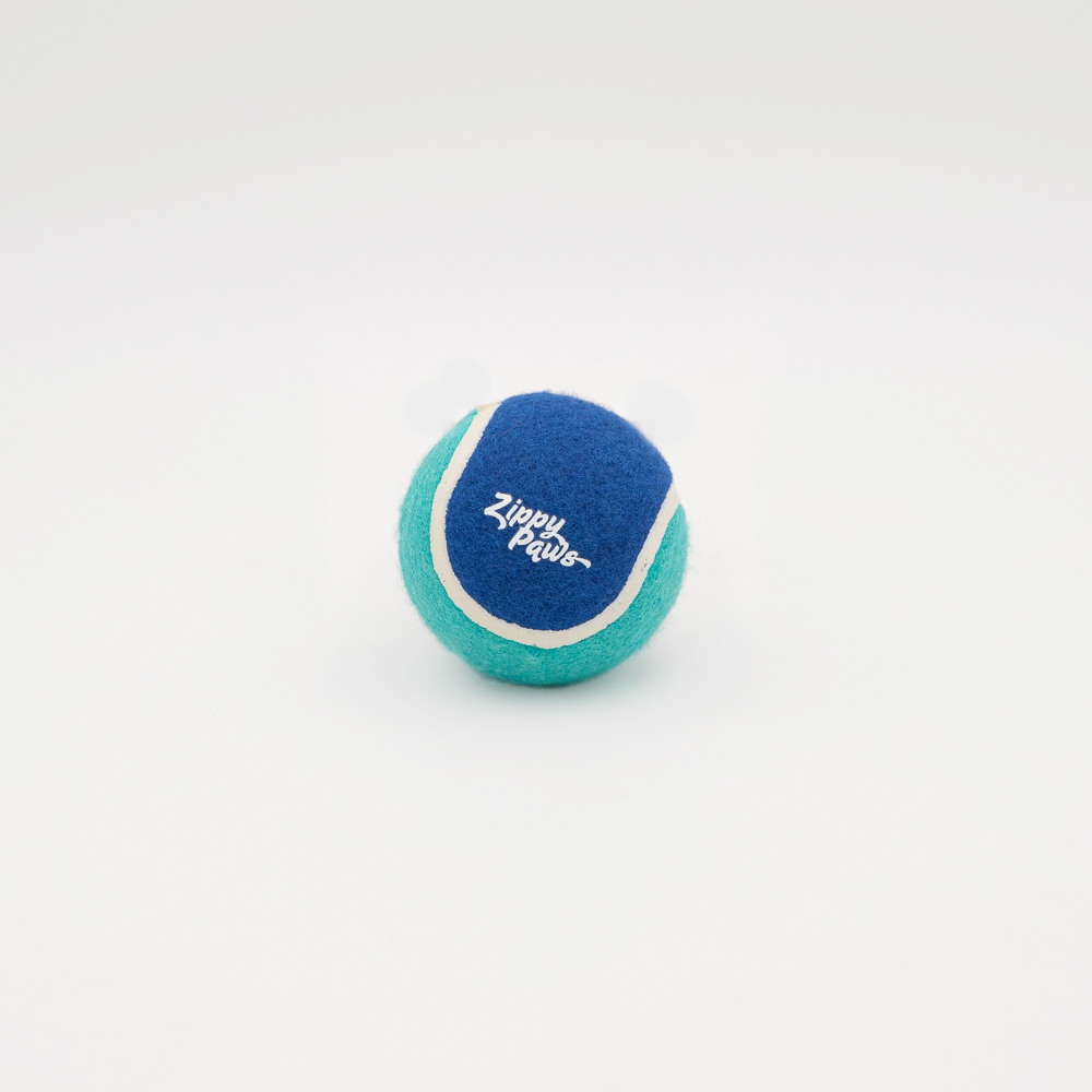A blue and green tennis ball with the brand name "Zippy Paws" printed on it, set against a plain white background.
