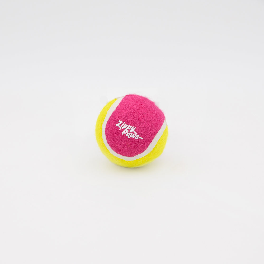 A bright yellow and pink tennis ball for dogs with the text "Zippy Paws" printed on it, set against a plain white background.