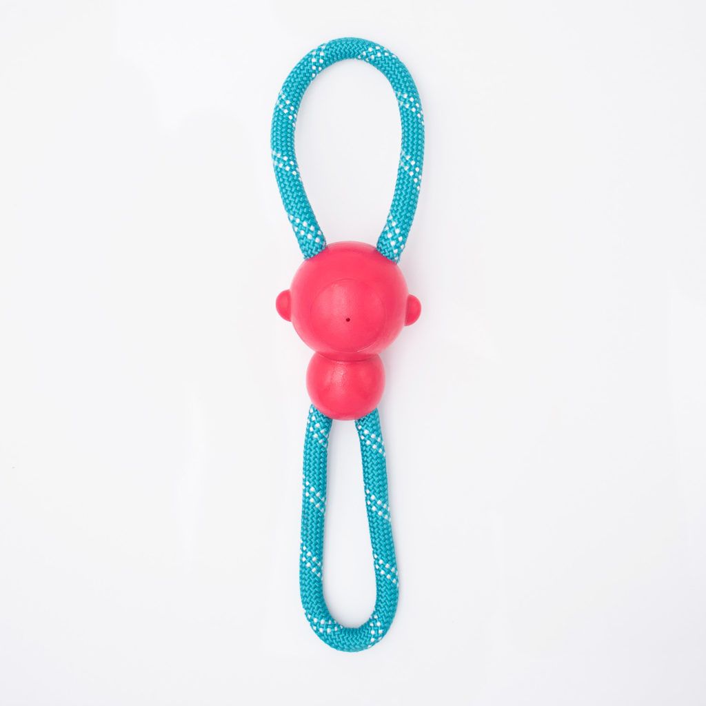 A red rubber ball attached to a looped blue rope with white accents, designed as a dog toy.