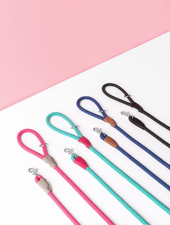 Five multicolored dog leashes arranged in a row on a white surface against a pink background. Each leash has a metal clip and a leather detail near the clip.
