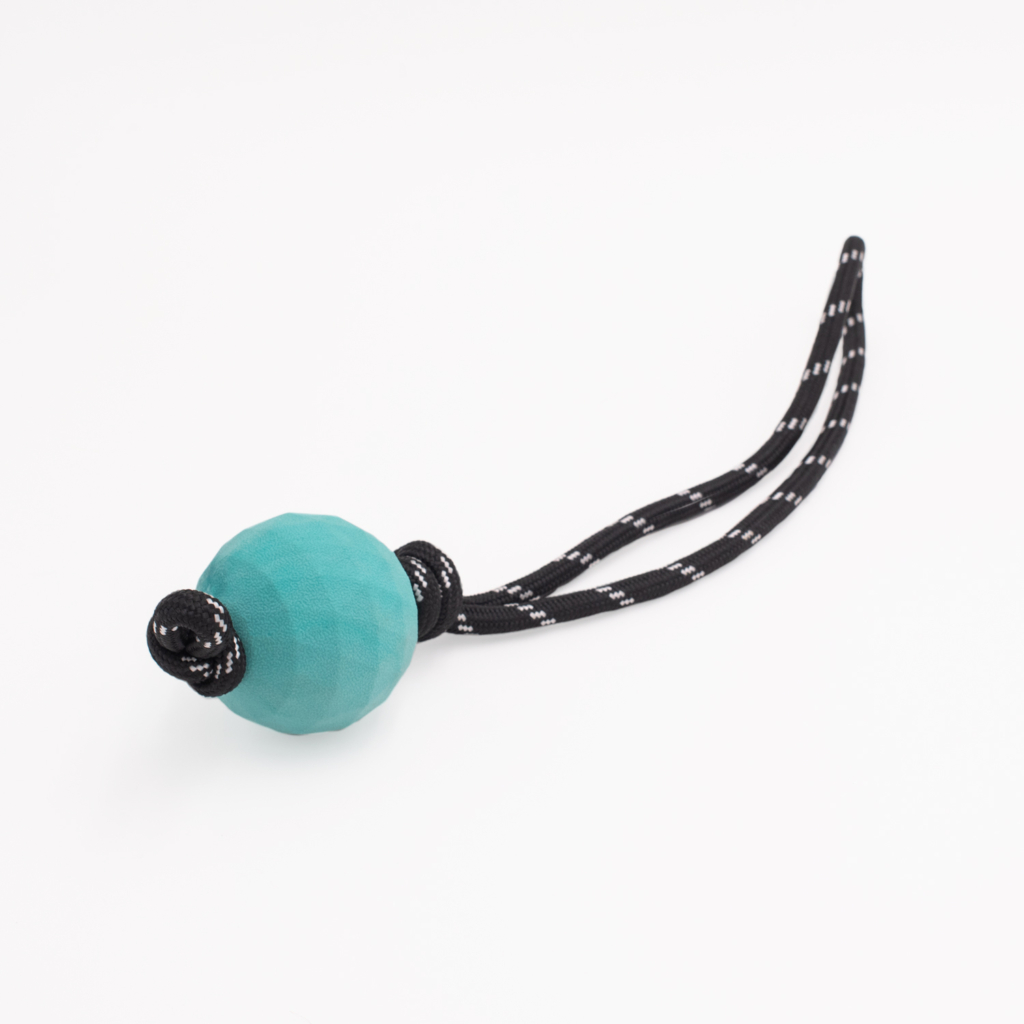 A ZippyTuff - Waggle Ball RopeTugz® attached to a black and white braided rope.