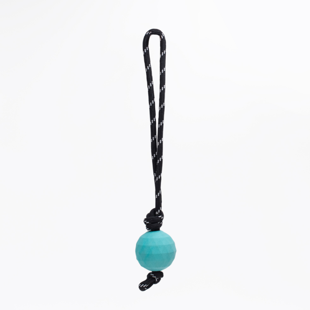 A black and white rope loop with a knotted end holds a turquoise ZippyTuff - Waggle Ball RopeTugz® in the middle, isolated on a white background.