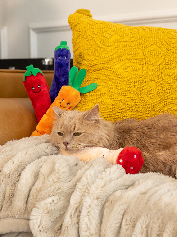A fluffy orange cat is lounging on a cozy white blanket on a couch. Behind the cat is a textured yellow pillow, and several colorful vegetable-shaped plush toys are arranged around it. The scene is warm and inviting.