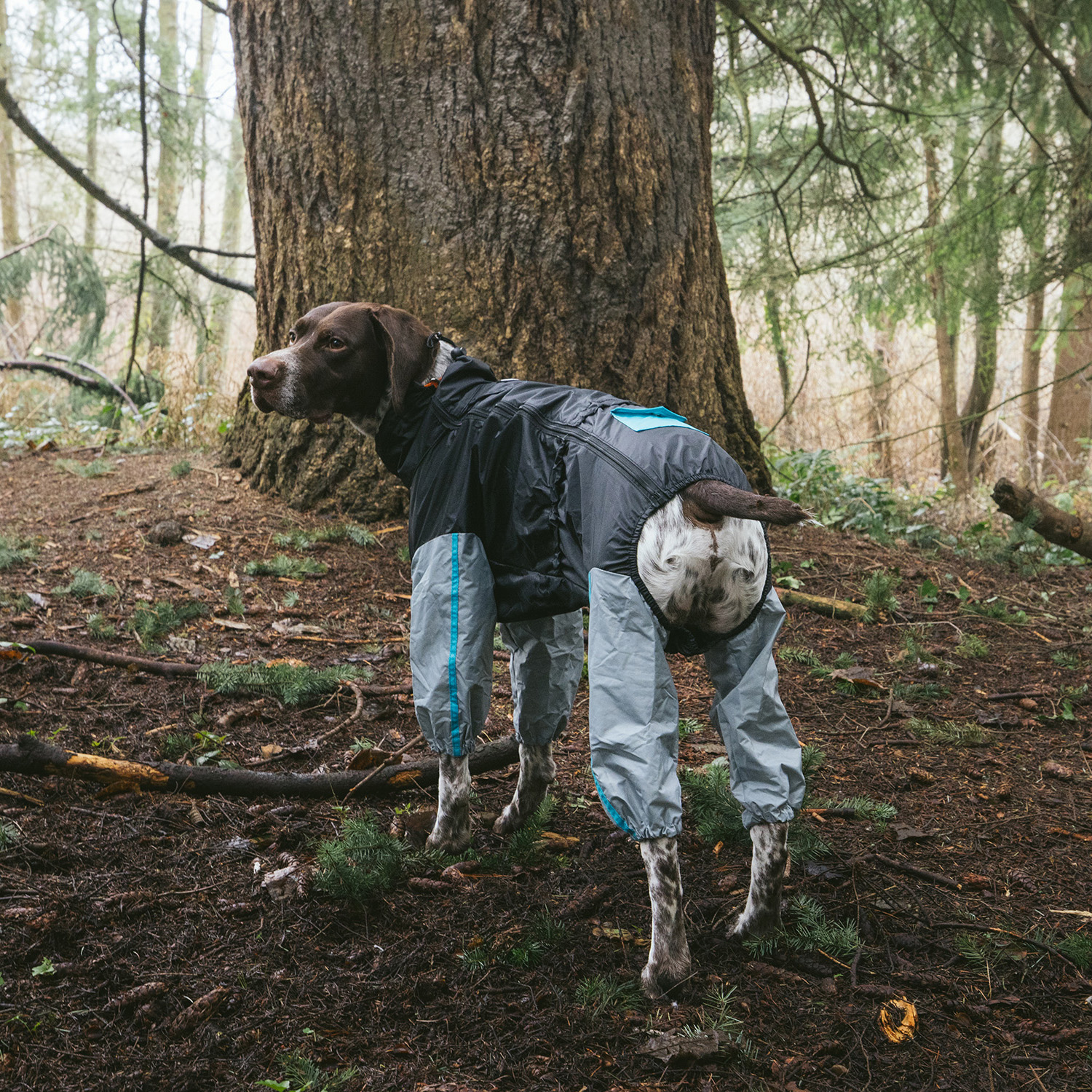 Adventure Raincoat - Teal