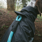 Adventure Raincoat - Teal Image Preview