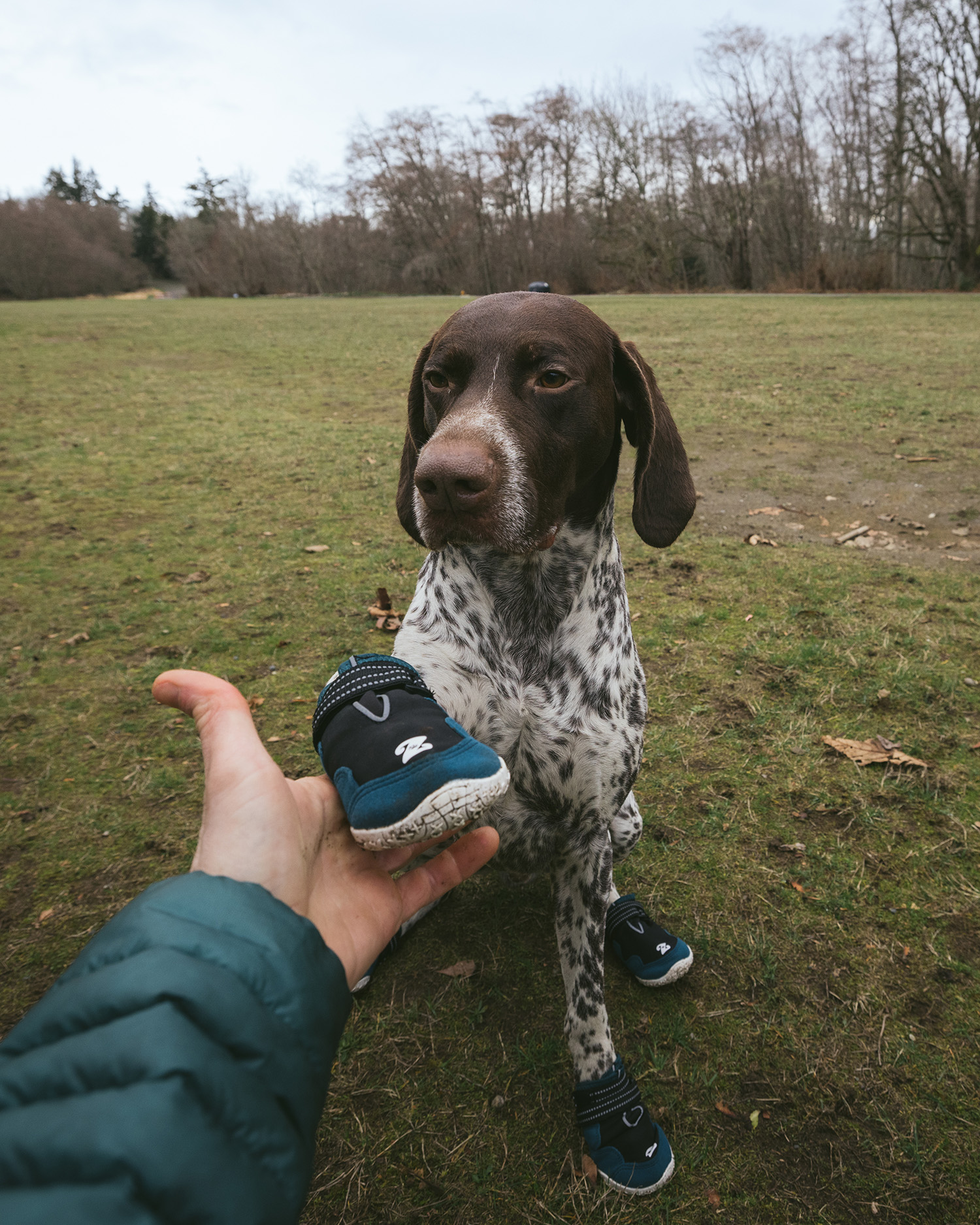 Adventure Boots - Teal