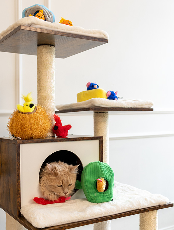 A beige cat rests inside a cubby of a multi-level cat tree, surrounded by colorful soft toys on various platforms.