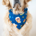 LINE FRIENDS Bandana - BROWN'S Space Odyssey Image Preview