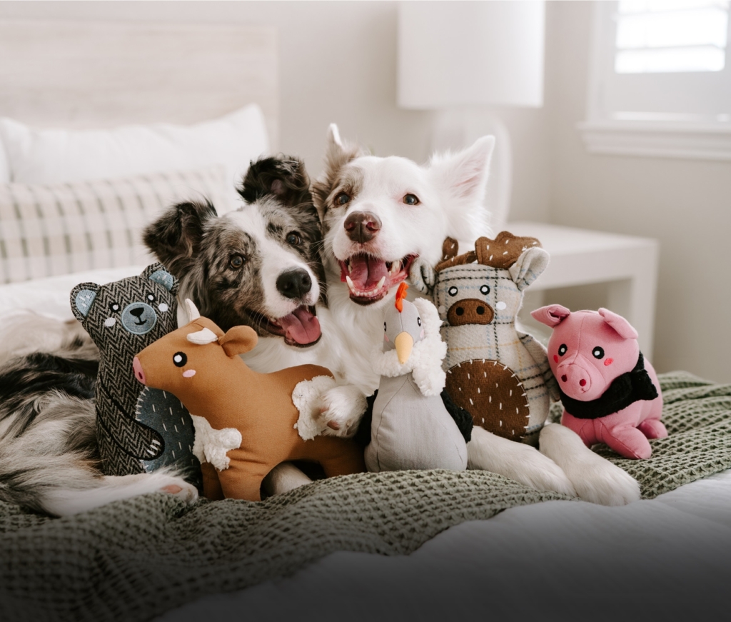 Dog with ecoZippy Toys