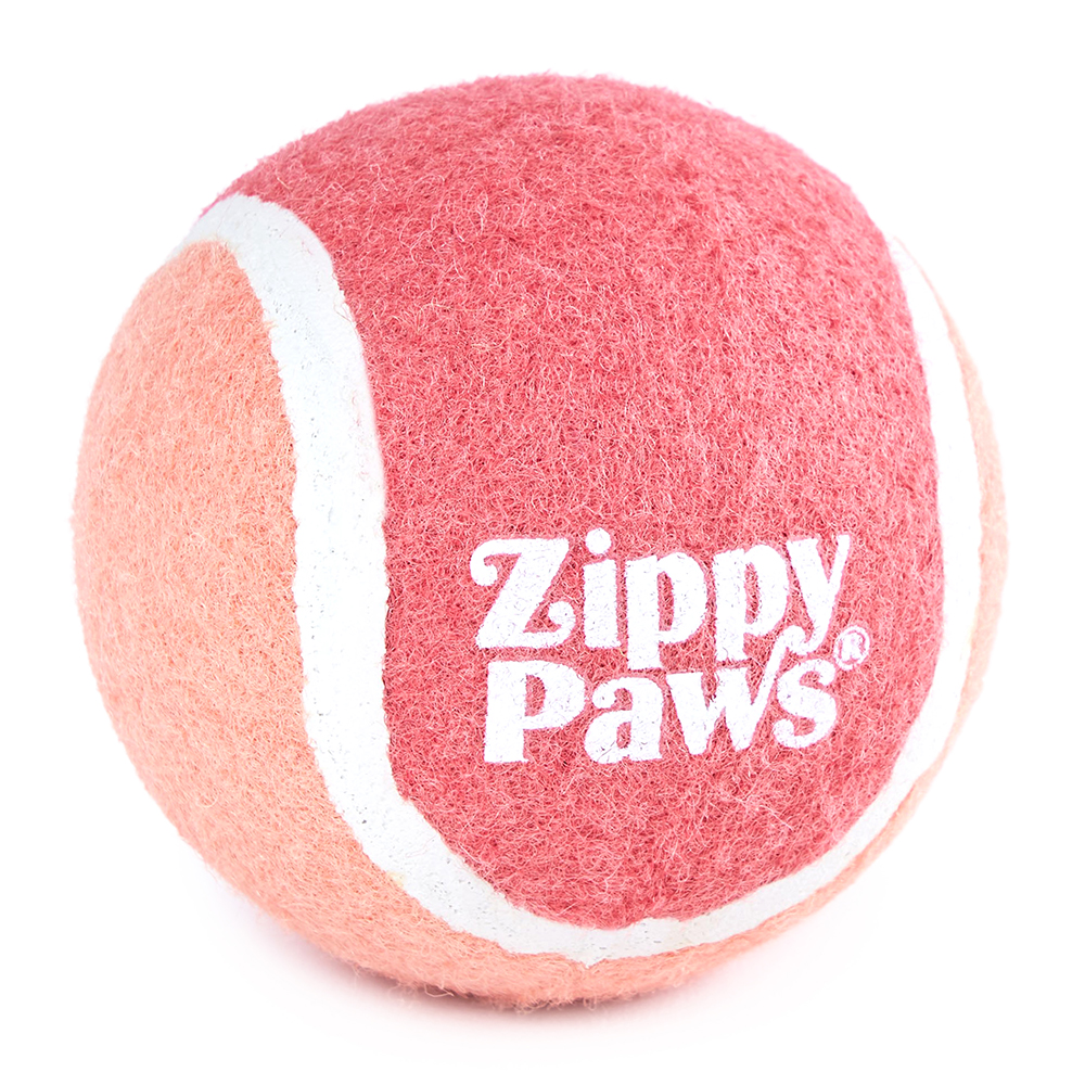4 pack of squeakie tennis balls with the Zippypaws logo