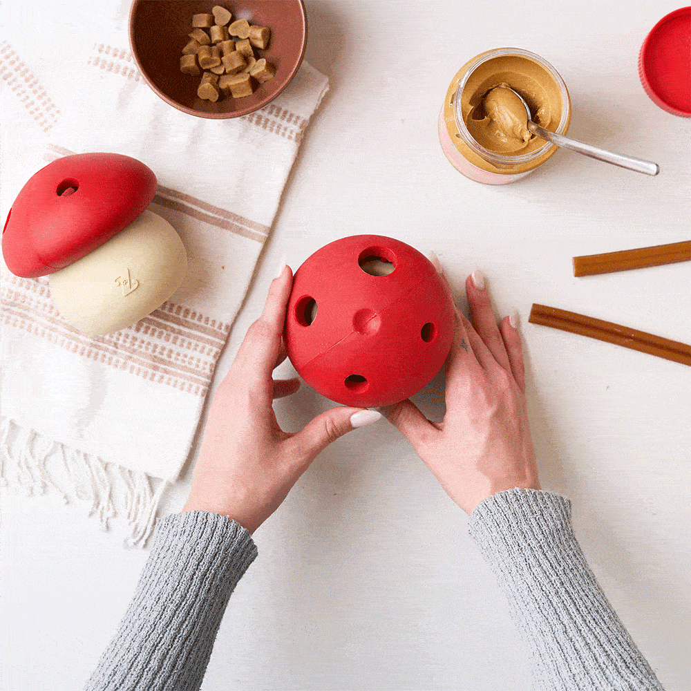 SmartyPaws Tumbler - Mushroom