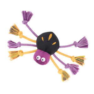 ecoZippy Halloween Spooky Spider