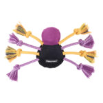 ecoZippy Halloween Spooky Spider