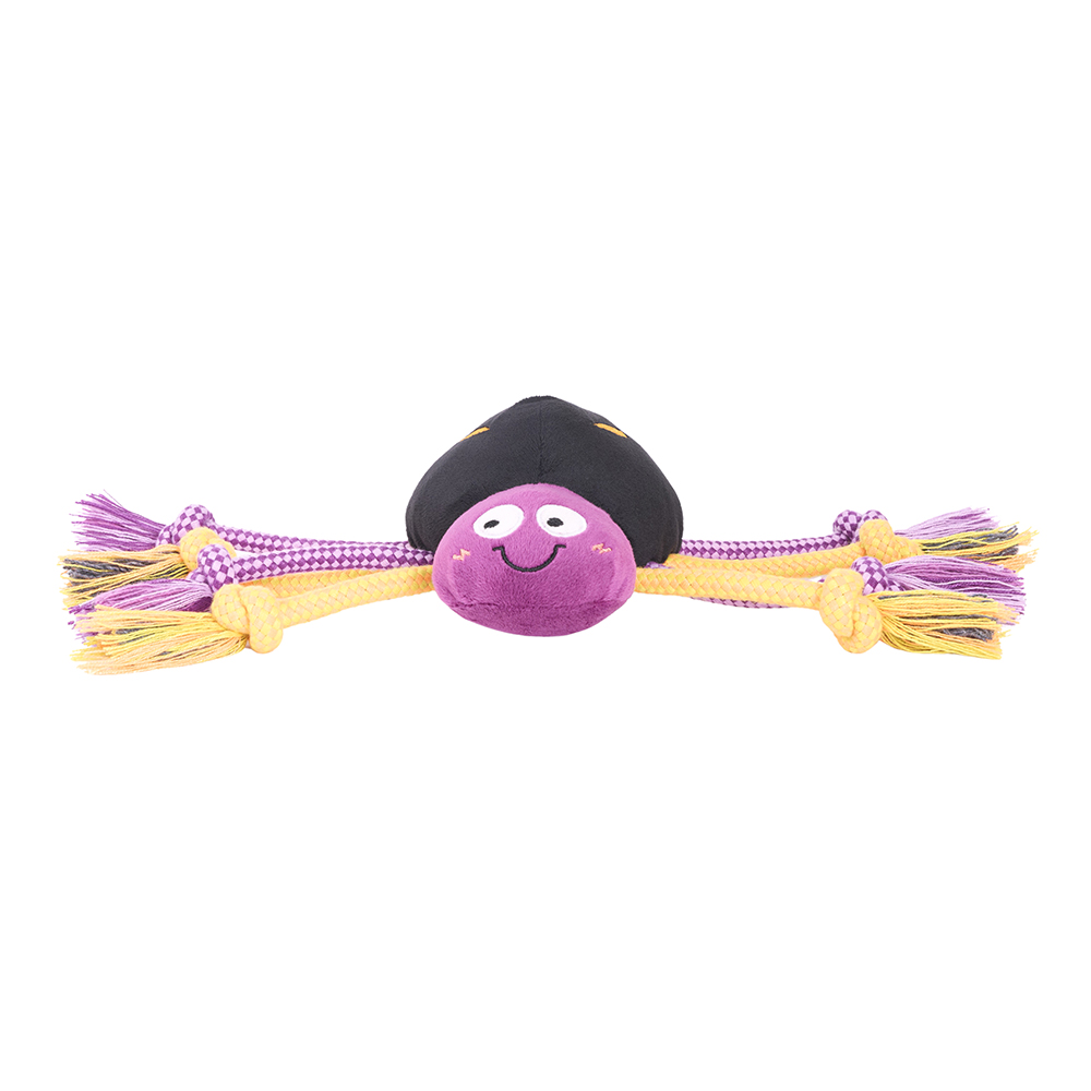 ecoZippy Halloween Spooky Spider