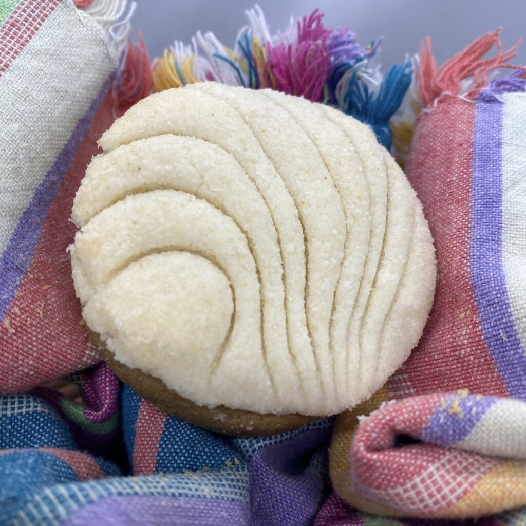 La Pawnaderia Concha treat for dogs.