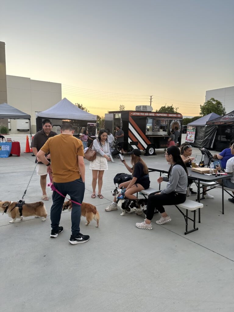 Summer Night Market People and Dogs